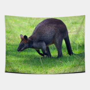 Wallaby on the Hop! Tapestry