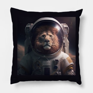 Low Earth Orbit (LEO) Pillow