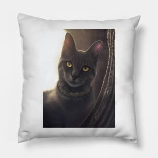 Mystic Mage Cat: Astrid Pillow