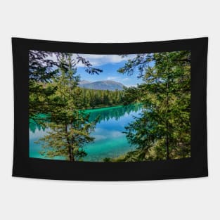 First Lake Valley of the Five Lakes Jasper National Park Alberta Canada Tapestry