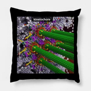 Kinetochore Pillow