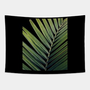 PALM LEAF DESIGN Tapestry