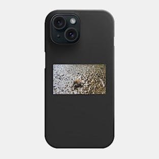 Honey Bee Drinking Water Phone Case