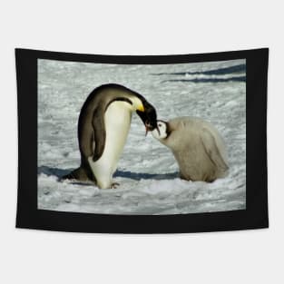 Emperor Penguin Feeding Chick, Antarctica Tapestry