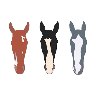 Horse Trio T-Shirt