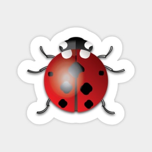 Ladybug Magnet