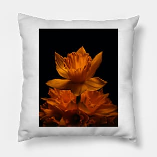 Isolated Dandelion Pillow