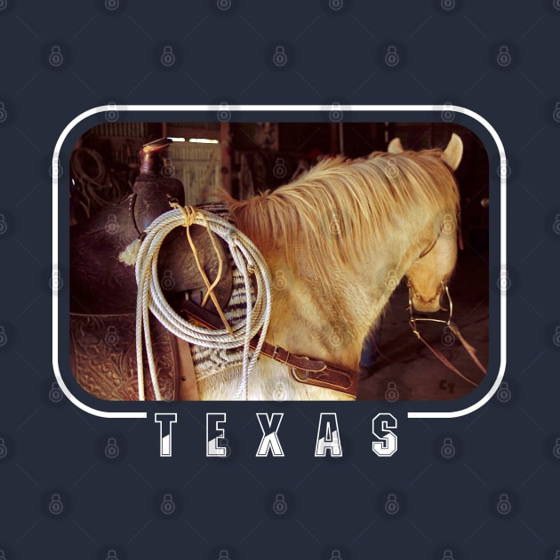 Quarter Horse Waiting For Rider, Texas by Wondergarbs