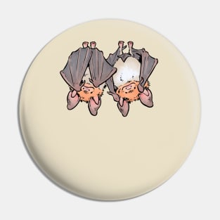 Greater mouse-eared bats Pin