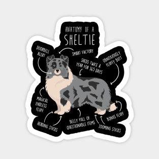 Bi Blue Sheltie Shetland Sheepdog Anatomy Magnet