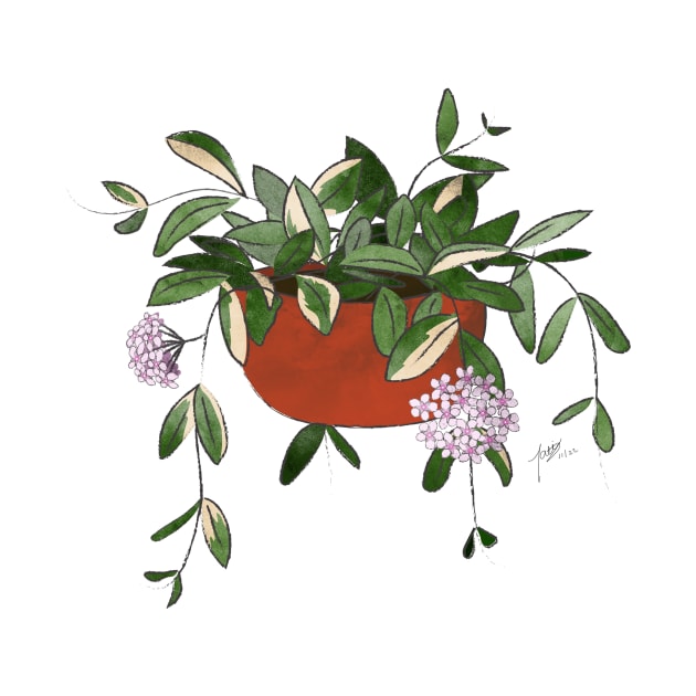 Hoya Carnosa in Red Pot by ALaTati