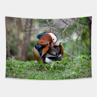 Mandarin duck / Swiss Artwork Photography Tapestry