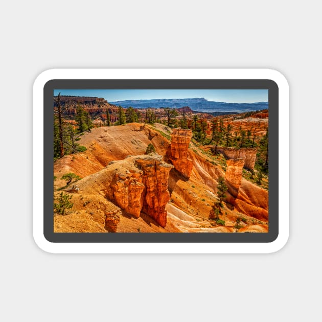 Bryce Canyon National Park Magnet by Gestalt Imagery