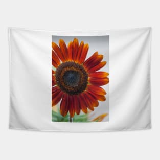 Sunflower Series XV Tapestry