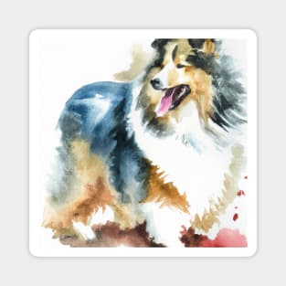 Shetland Sheepdog Watercolor Painting - Dog Lover Gifts Magnet