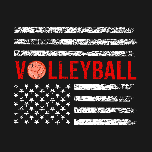 Vintage Volleyball America Flag by NatalitaJK