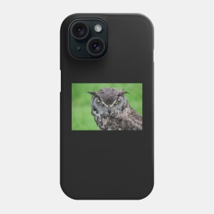 Great Horned Owl Phone Case