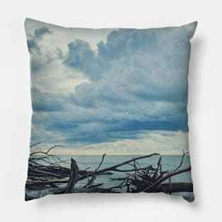 Fallen Trees by The Ocean Pillow