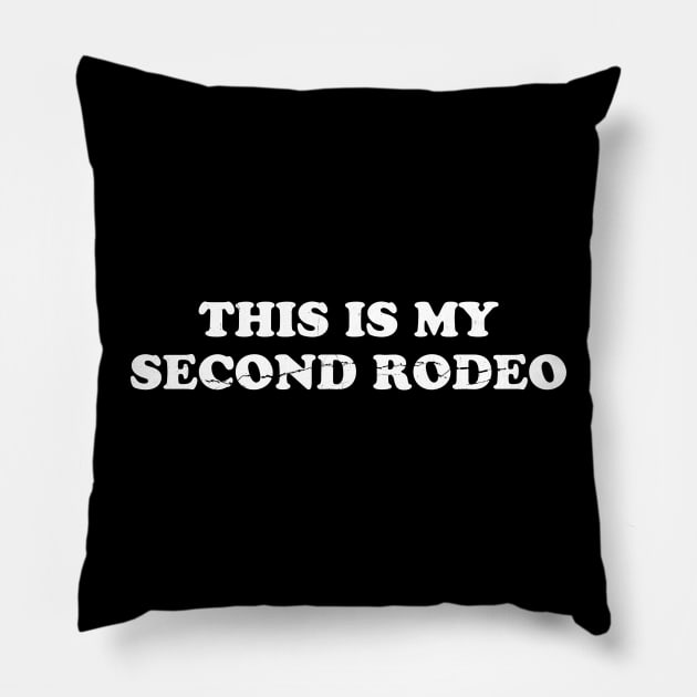 This is my second rodeo Pillow by Junmir