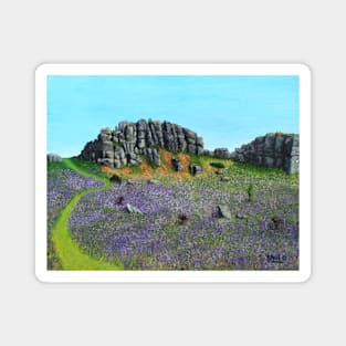 Dartmoor bluebells Magnet