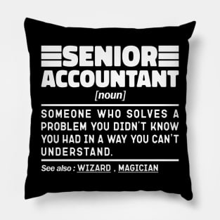 Senior Accountant Noun Definition Job Title Sarcstic Design Funny Senior Accountant Pillow