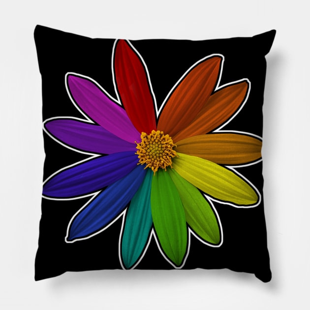 Flower Color Wheel Rainbow Pillow by Pinkazoid