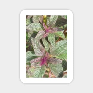 Amaranthus oil paint effect Magnet