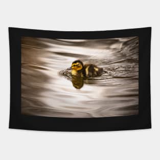 Cute tiny duckling swimming Tapestry