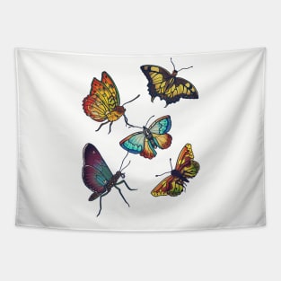 Butterflies and Moths Tapestry
