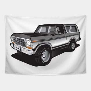 1979 Ford Bronco, Dentside, two tone. Tapestry