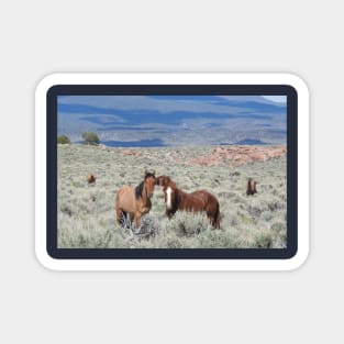 Wild horses, mustangs, wildlife, nature, gifts Magnet