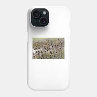 Wild Teasel Phone Case