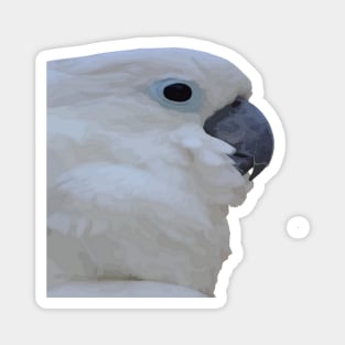 Side Portrait Of A Blue-Eyed Cockatoo Cut Out Magnet