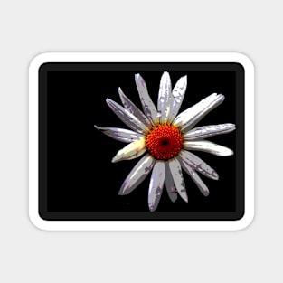 Digital Daisy Magnet