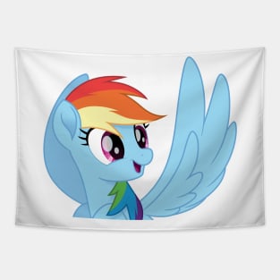 Silly movie Rainbow Dash face 3 Tapestry