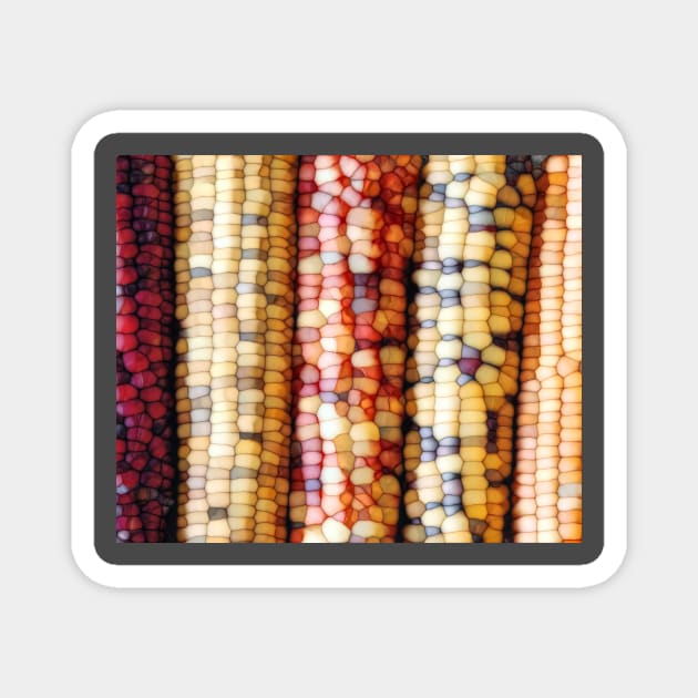 Abstract Indian Corn Magnet by perkinsdesigns