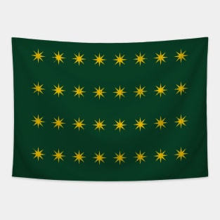 Fenian Brotherhood County Stars Flag Tapestry