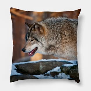 Timber Wolf Pillow