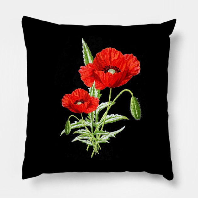 Vintage Red Poppy Flower Cute Gardener Botanical Gardening Pillow by AimArtStudio