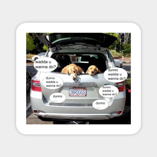 Two bored dogs with nothing to do in back of car Magnet