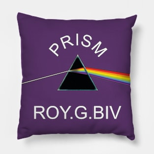 PRISM  ROY .G. BIV Pillow