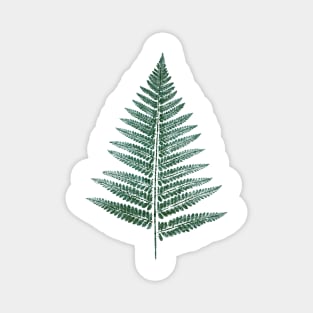 Fern Leaf Magnet