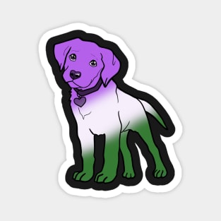 Labrador - Genderqueer Pride! Magnet