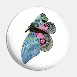 Exotic Butterfly Pin