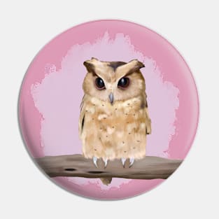 Cute Owl Pin