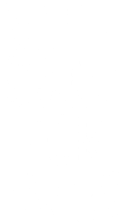 Will Squat For Tacos - Typographic Gym Slogan Design Magnet