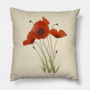 Delicate Red Poppies Wildflower Floral Bouquet Pillow