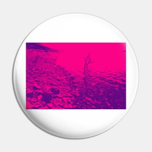 stony lake edge with pine cone and stick in water pink gradient water Pin