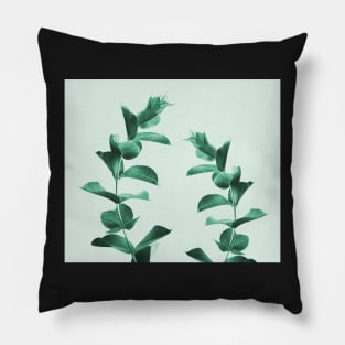 Eucalyptus green Pillow