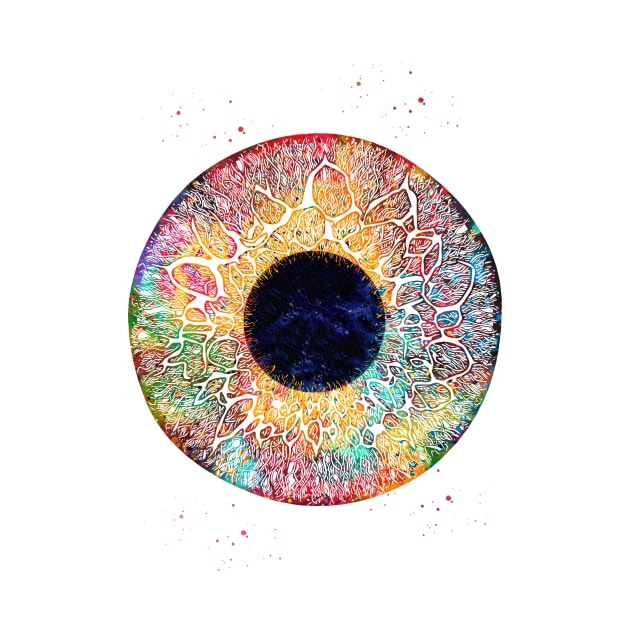 Human Eye by erzebeth